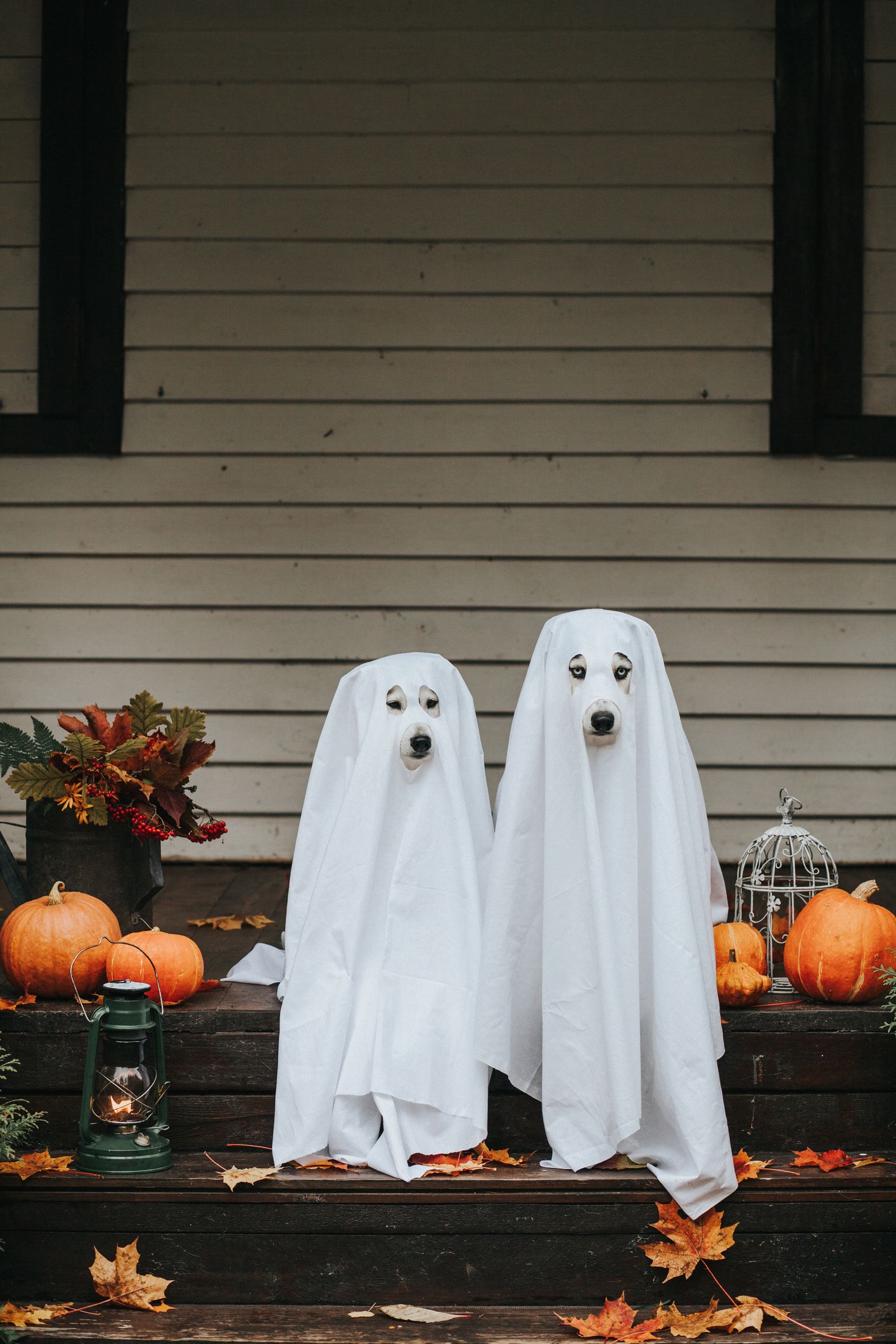 22 Wicked DIY Halloween Decorations And Scare Tactics - DIY & Crafts