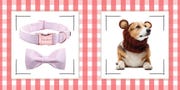 dog gifts
