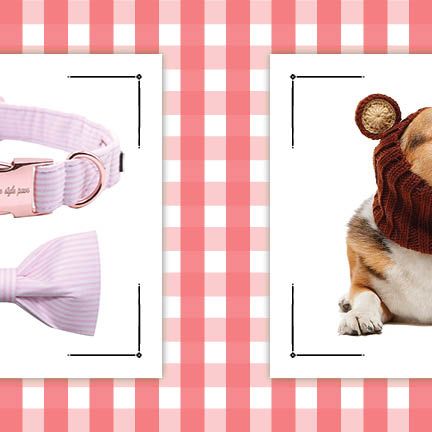 Cute Pet Gifts That'll Be Very Paw-Popular This Holiday Season