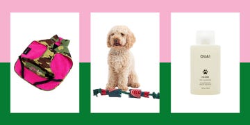 dog gifts for christmas