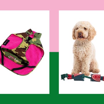 Dog gifts for christmas dog gifts for christmas
