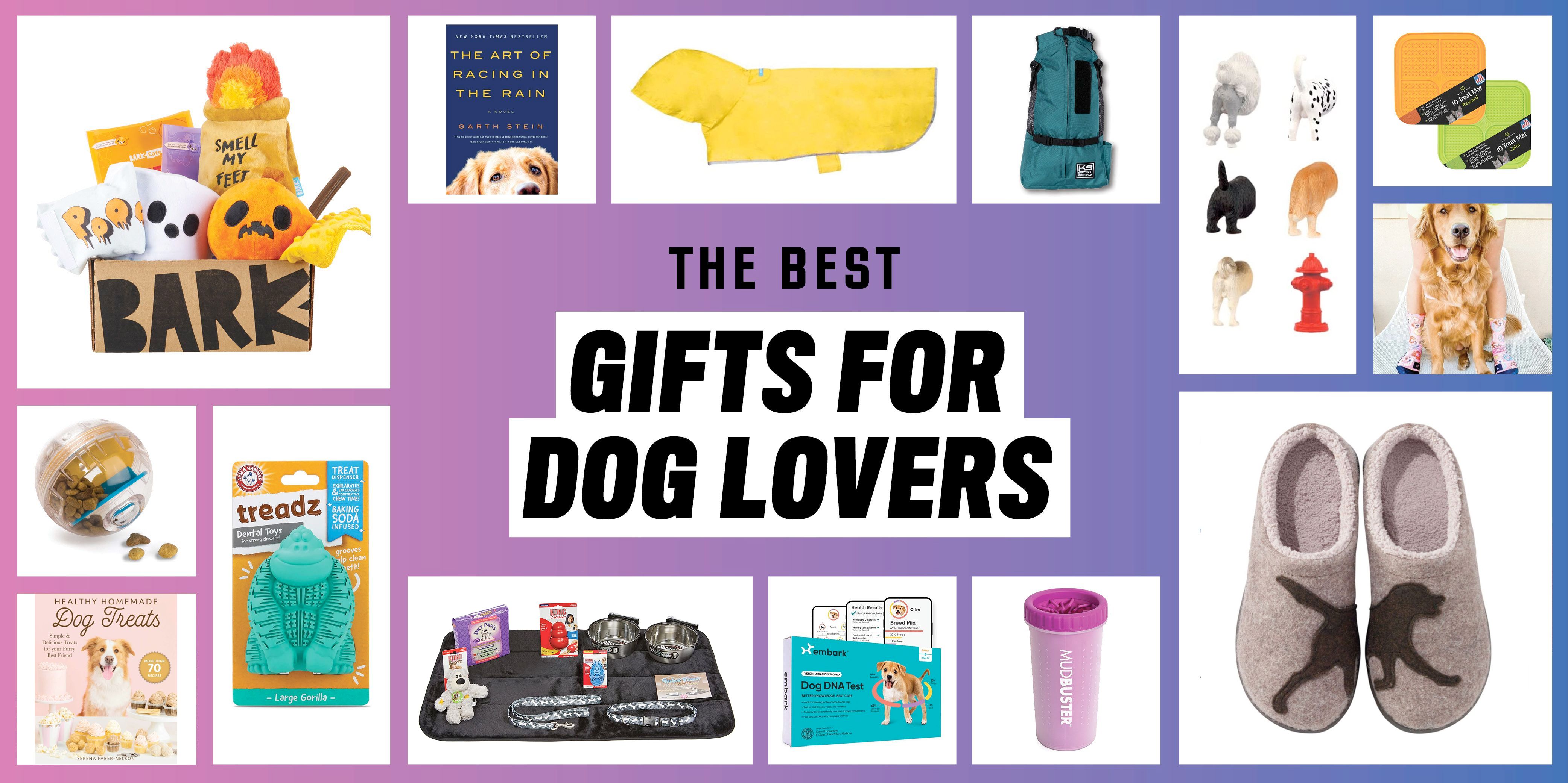 14 Best Gifts for Dog Lovers