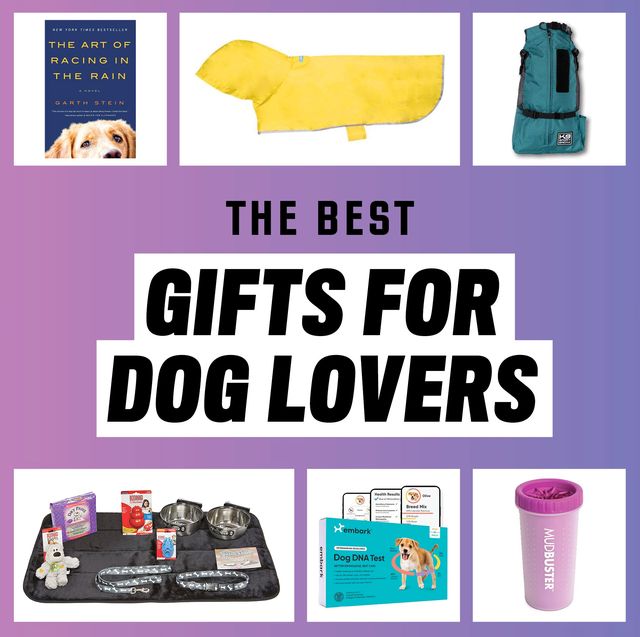 The 41 Best Gifts for Dog Lovers, According to Experts