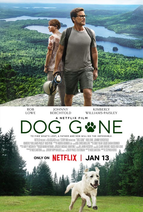 best christian movies on netflix - dog gone best christian movies on netflix dog gone
