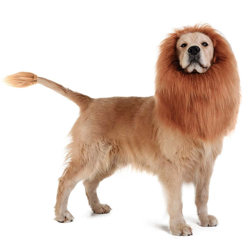 Best Dog Halloween Costumes - Amazon Dog Lion Mane by Tomsenn