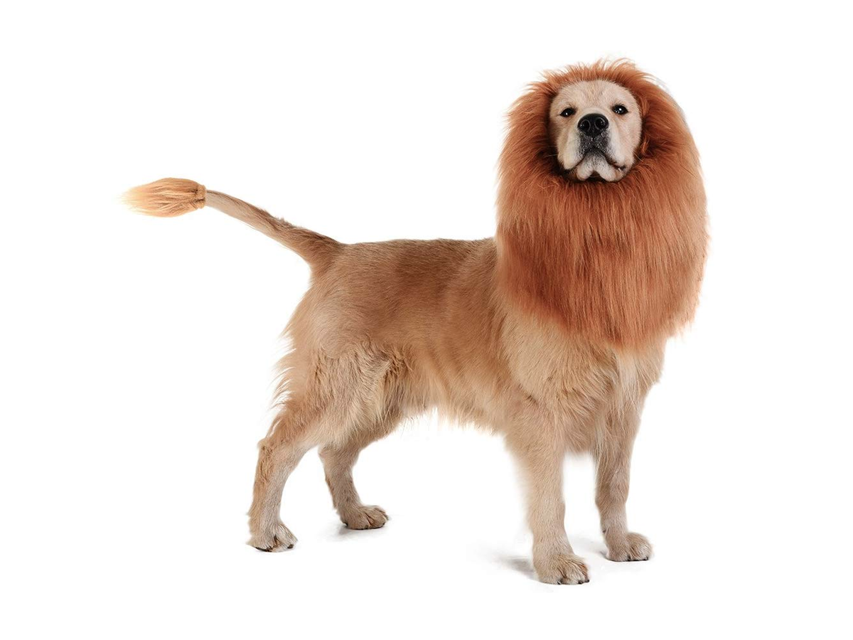 This $14 Amazon Dog Costume Turns Pups Into Simba with a Lion Mane