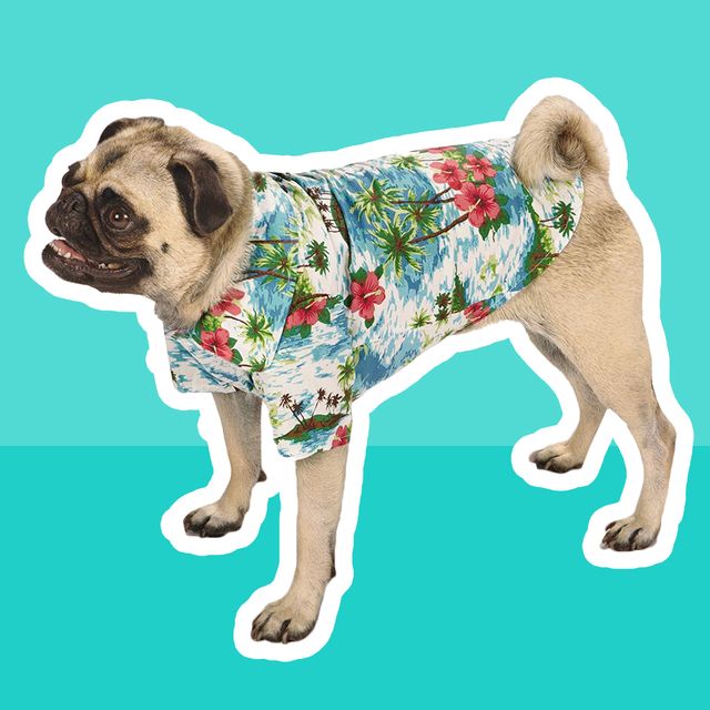 dog Hawaiian shirt