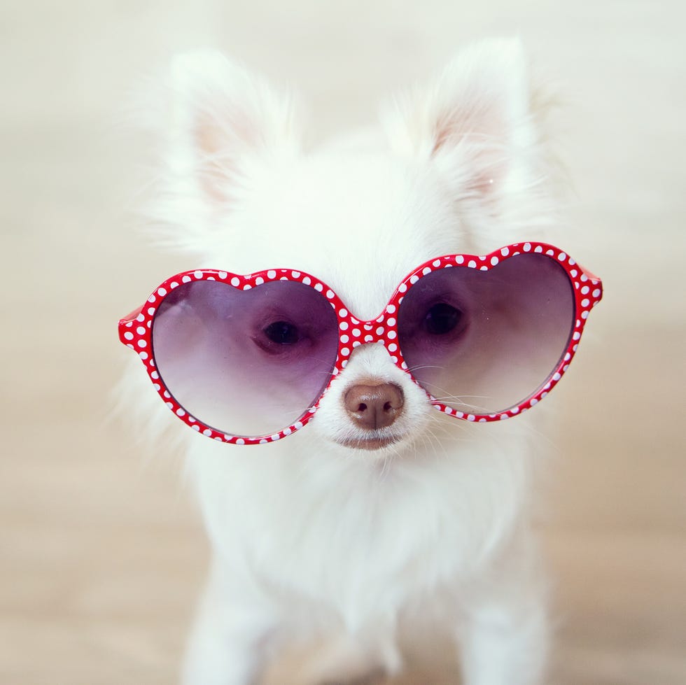 75 Best Valentine's Day Jokes - Valentine's Day Jokes for Kids and Adults 75 Best Valentine's Day Jokes - Valentine's Day Jokes for Kids and Adults