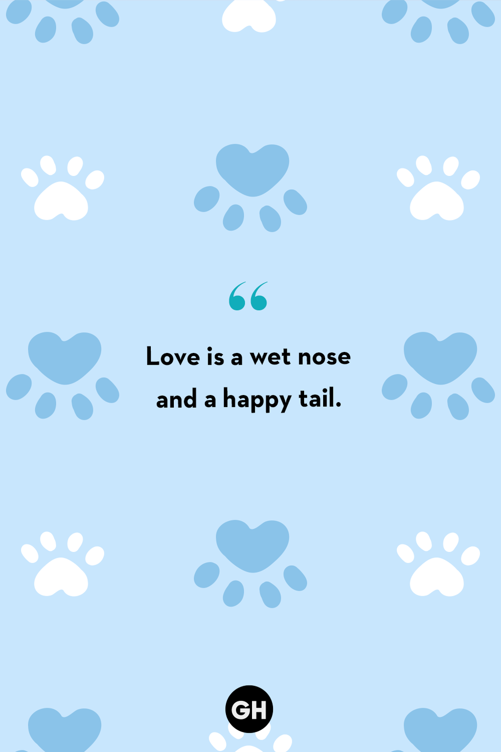 Tổng hợp cute dog quotes for instagram đáng yêu và hài hước