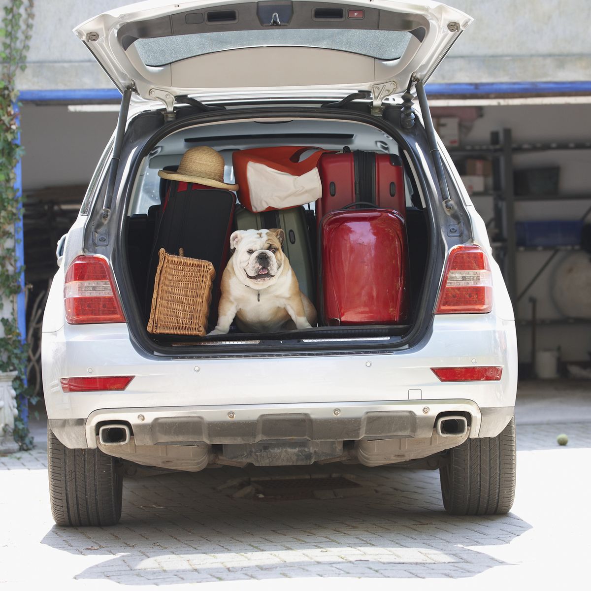 What to Carry in Your Trunk This Winter - Guthrie's Auto Service Inc