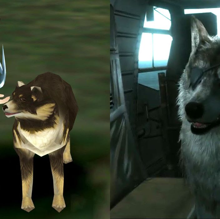 Which Video Game Dogs Can You Pet? - Protect My Paws