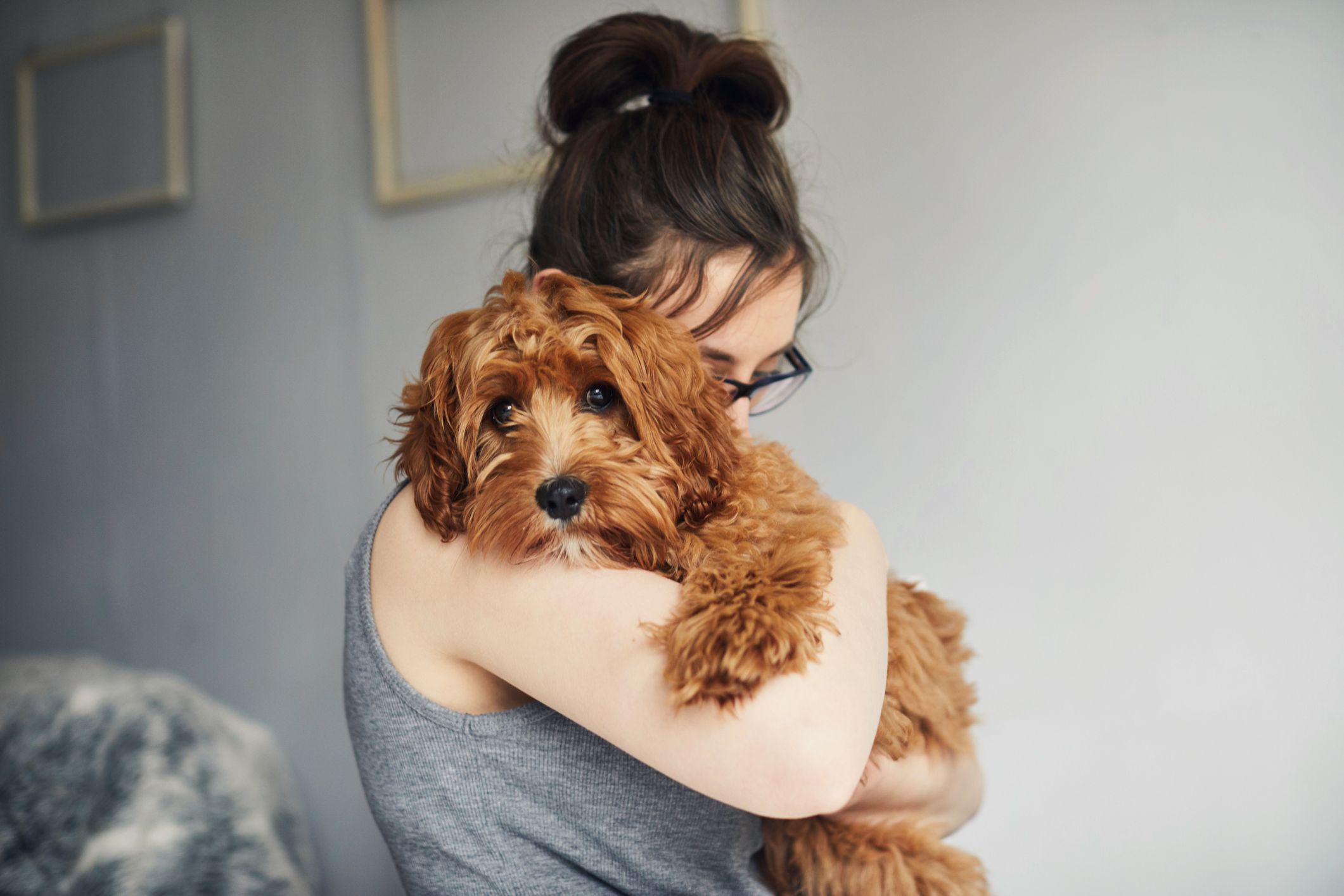 40+ Best Dog Instagram Captions — Puppy Captions for Instagram