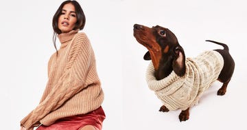 owner dog jumpers