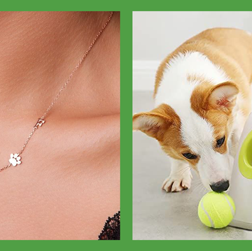 paw necklace and ball launcher