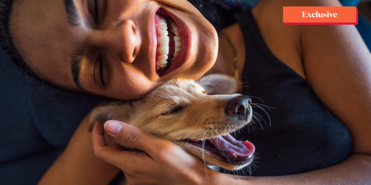 A psychologist reveals the health benefits of owning a dog