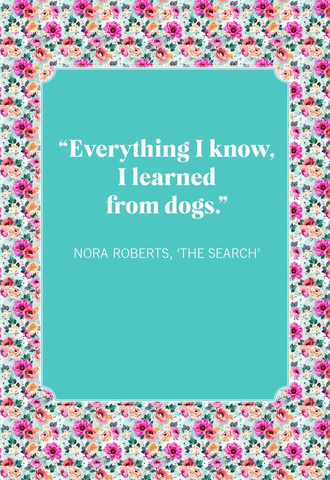 dog mom quotes  nora roberts, 'the search'