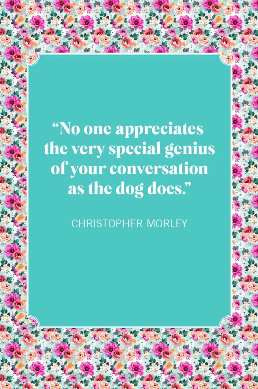 dog mom quotes christopher morley