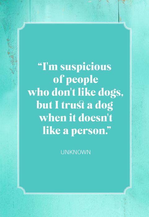 50 Best Dog Mom Quotes - Quotes About Being A Dog Mom