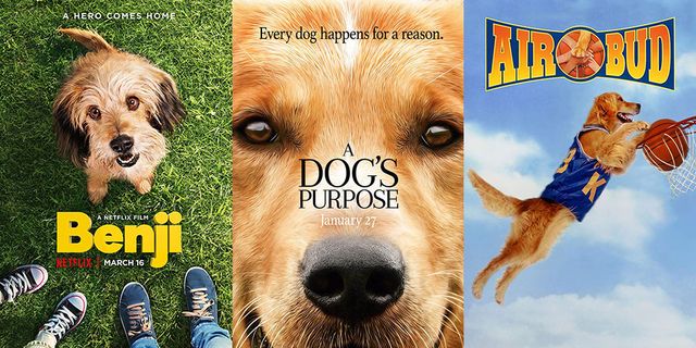 Movie For Dogs