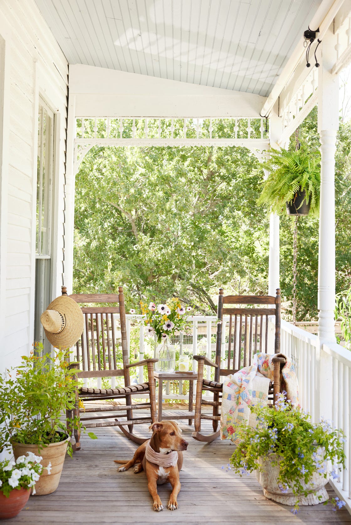 a bandanna wearing dog on the porch of claire zinneckers 1897 folk victorian farmhouse in texas