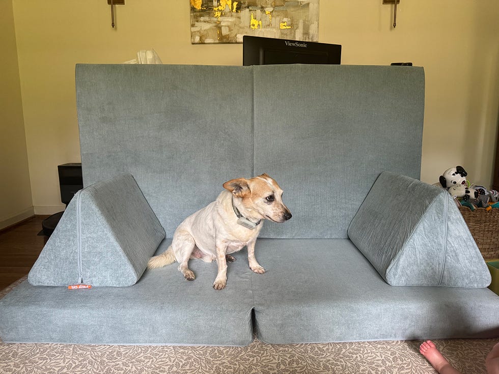 baby on a nugget couch