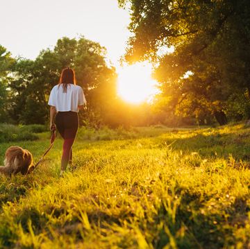young woman and her female dog, a golden retriever enjoying relaxing walk in the nature during majestic sunset