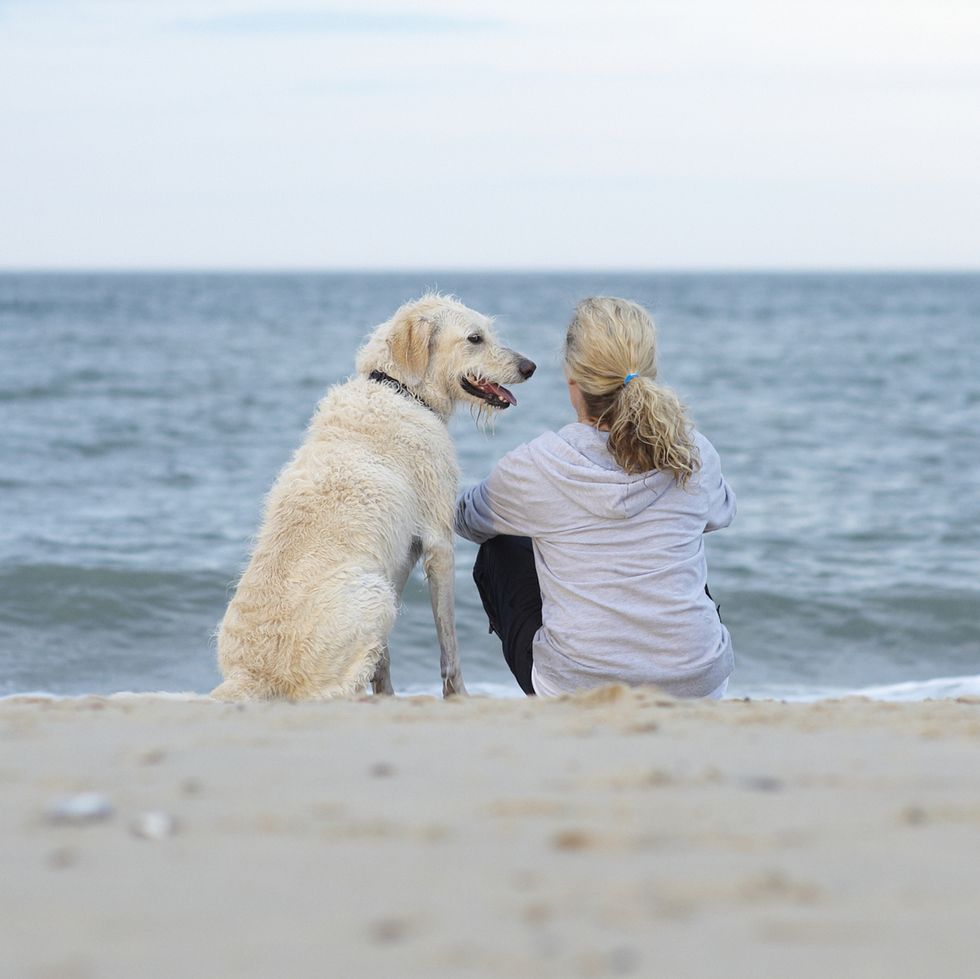 dog owner beach