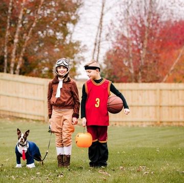 dog and owner halloween costumes