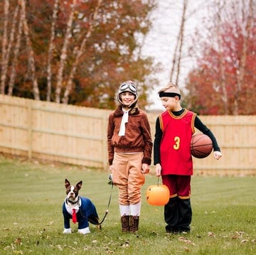 dog and owner halloween costumes