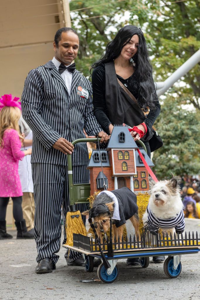 Addams Family Halloween Costumes for Adults & Kids
