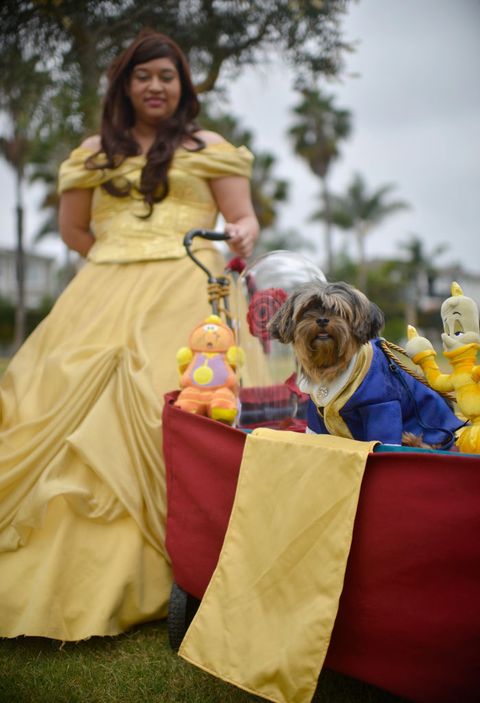 dog owner halloween costumes beauty and the beast