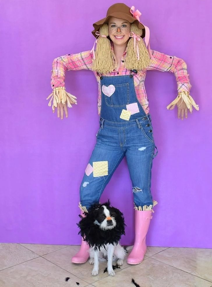 5 Easy DIY Dog Halloween Costumes - Charleston Dog Walker