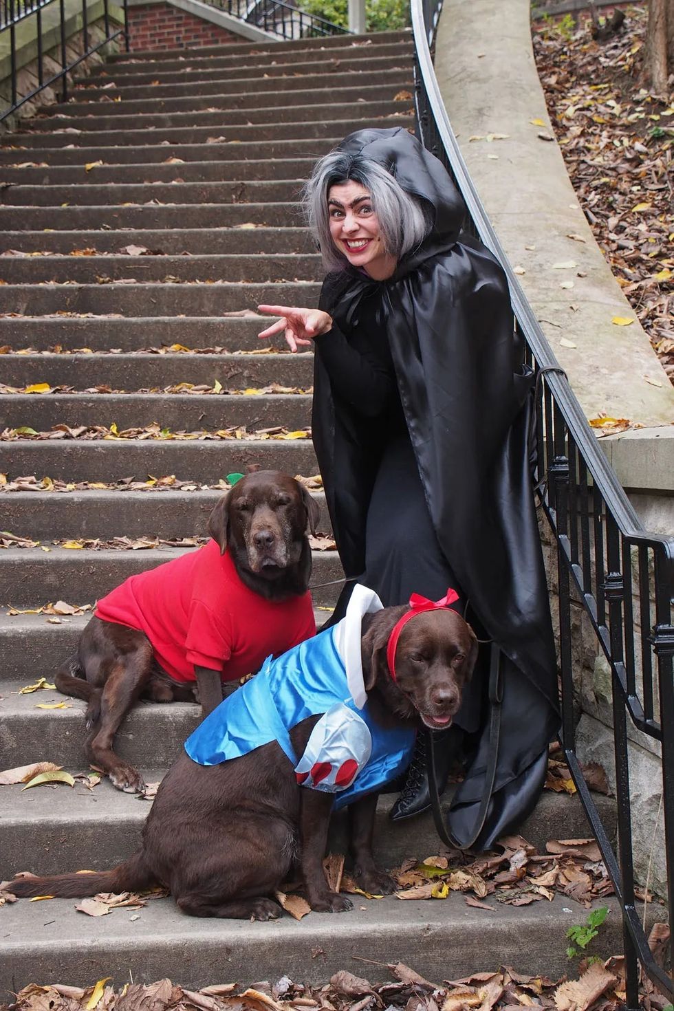 Awesome Dog and Human Halloween Costume Ideas