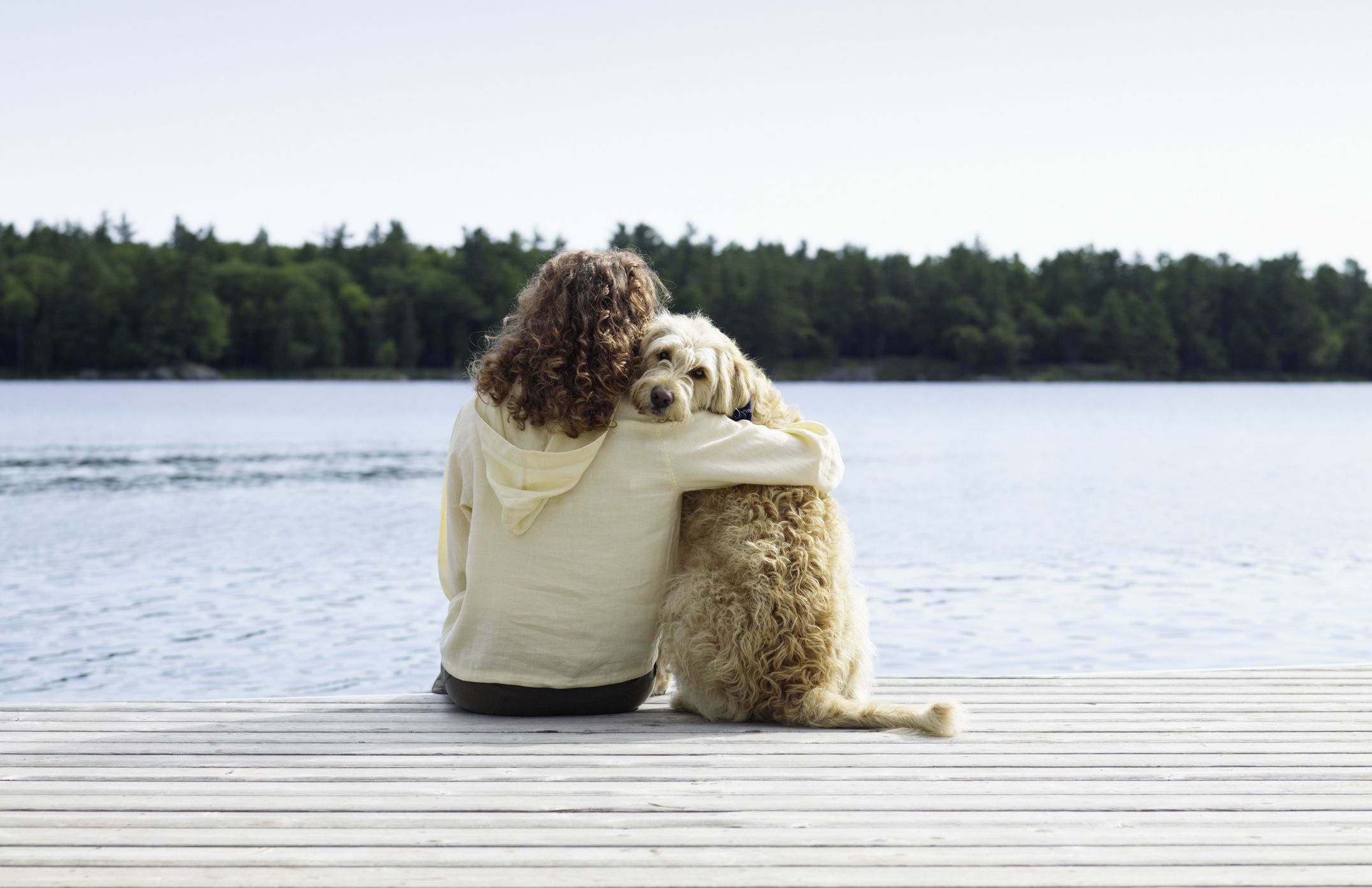 do dogs help lower blood pressure