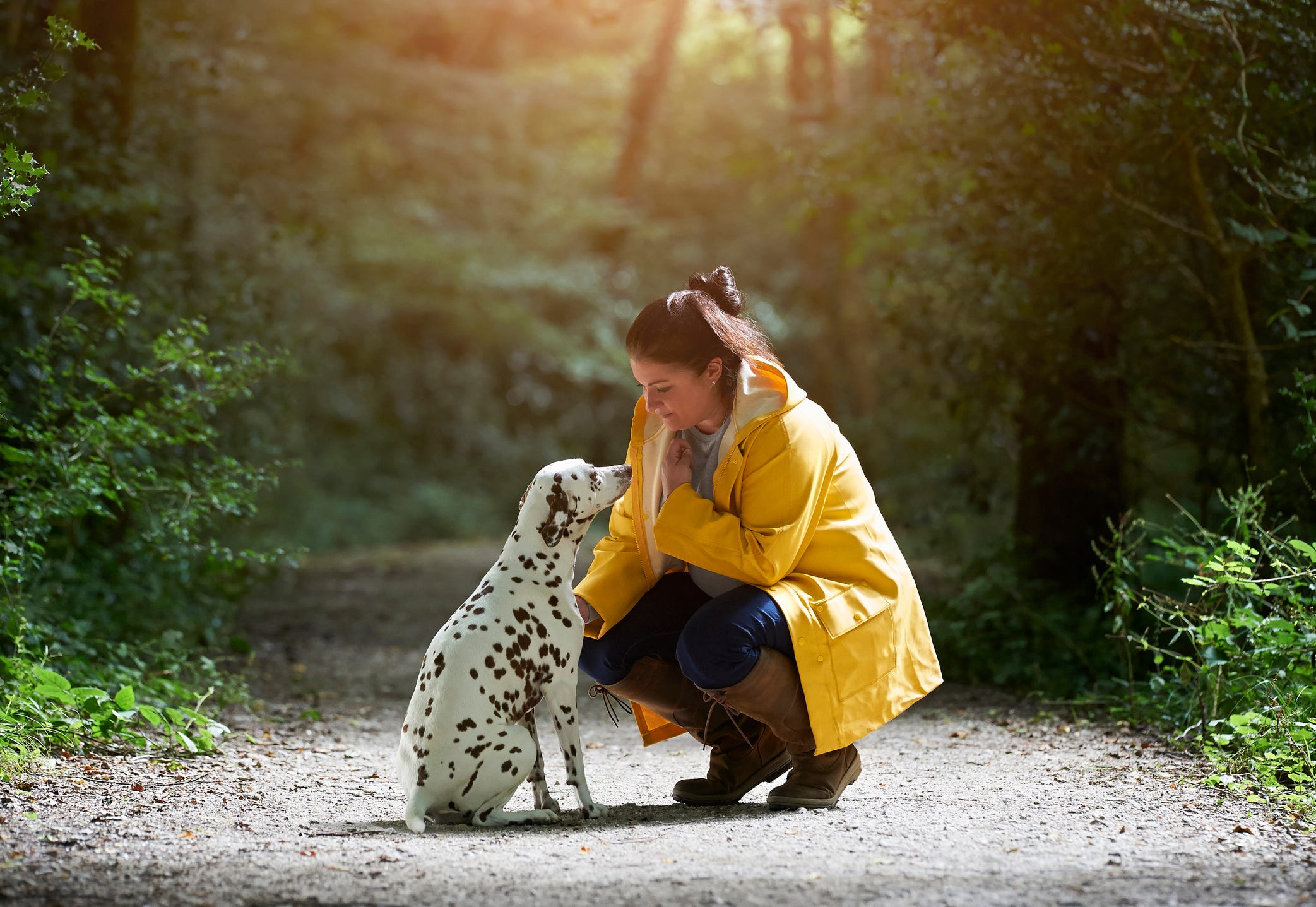 why would a dogs personality change