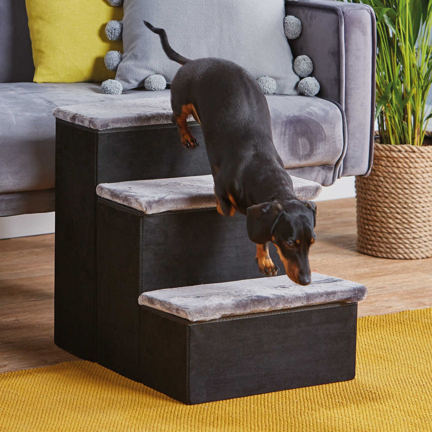 aldi launches new pet collection, including pet stairs