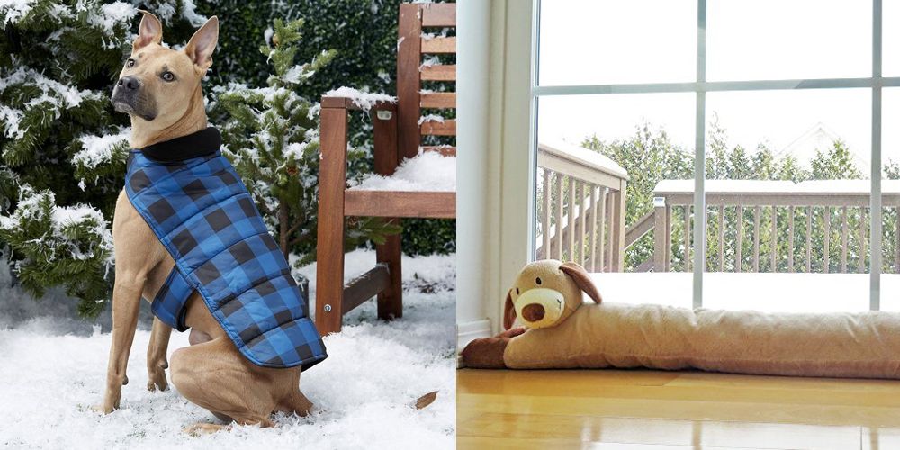 Dog Products That Will Keep Your Pup Toasty