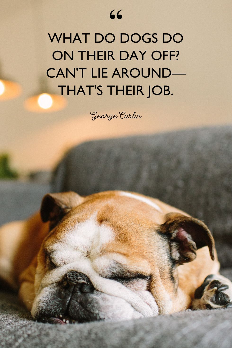 dog quotes George Carlin