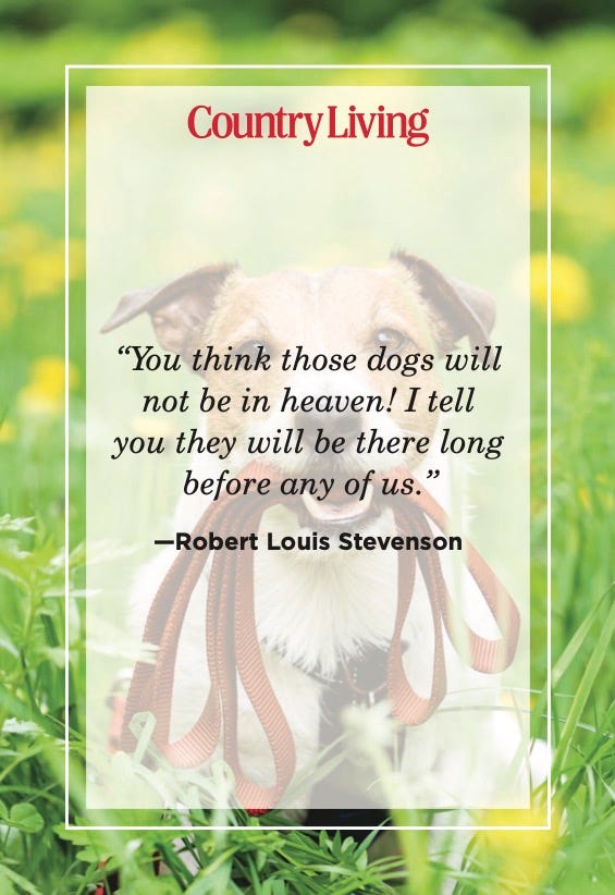 dog quotes robert louis stevenson