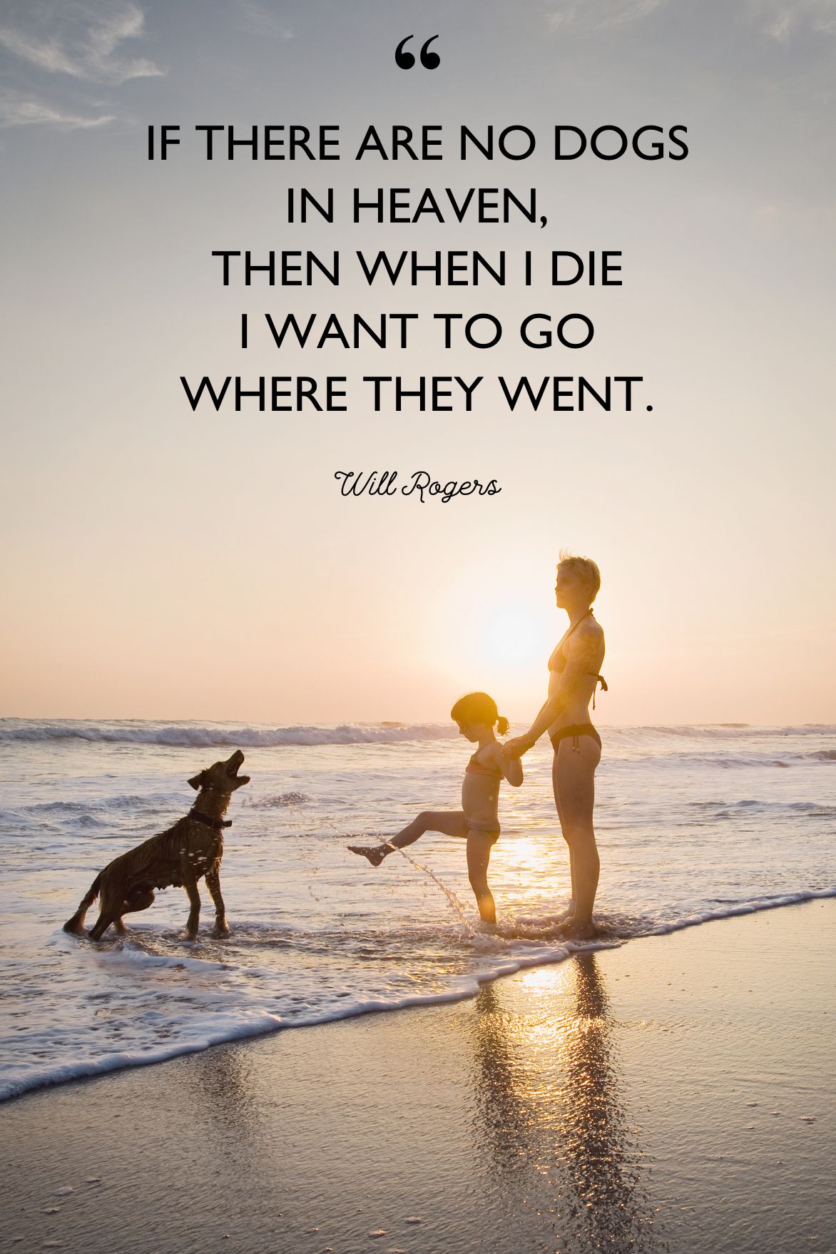 dogs in heaven quotes