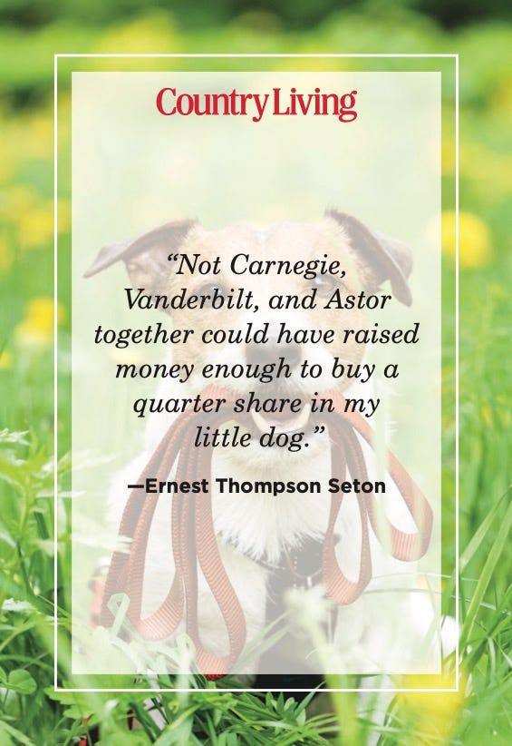 dog quotes ernest thompson seton