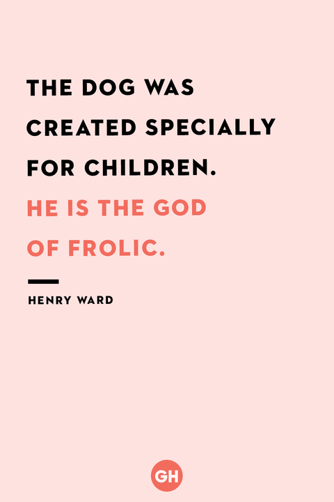 dog quote by henry ward