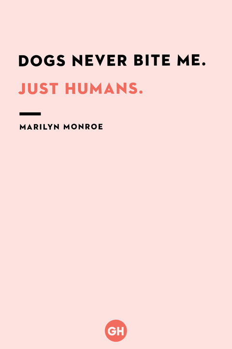 50 Best Dog Quotes - Funny and Cute Quotes About Dogs 50 Best Dog Quotes - Funny and Cute Quotes About Dogs