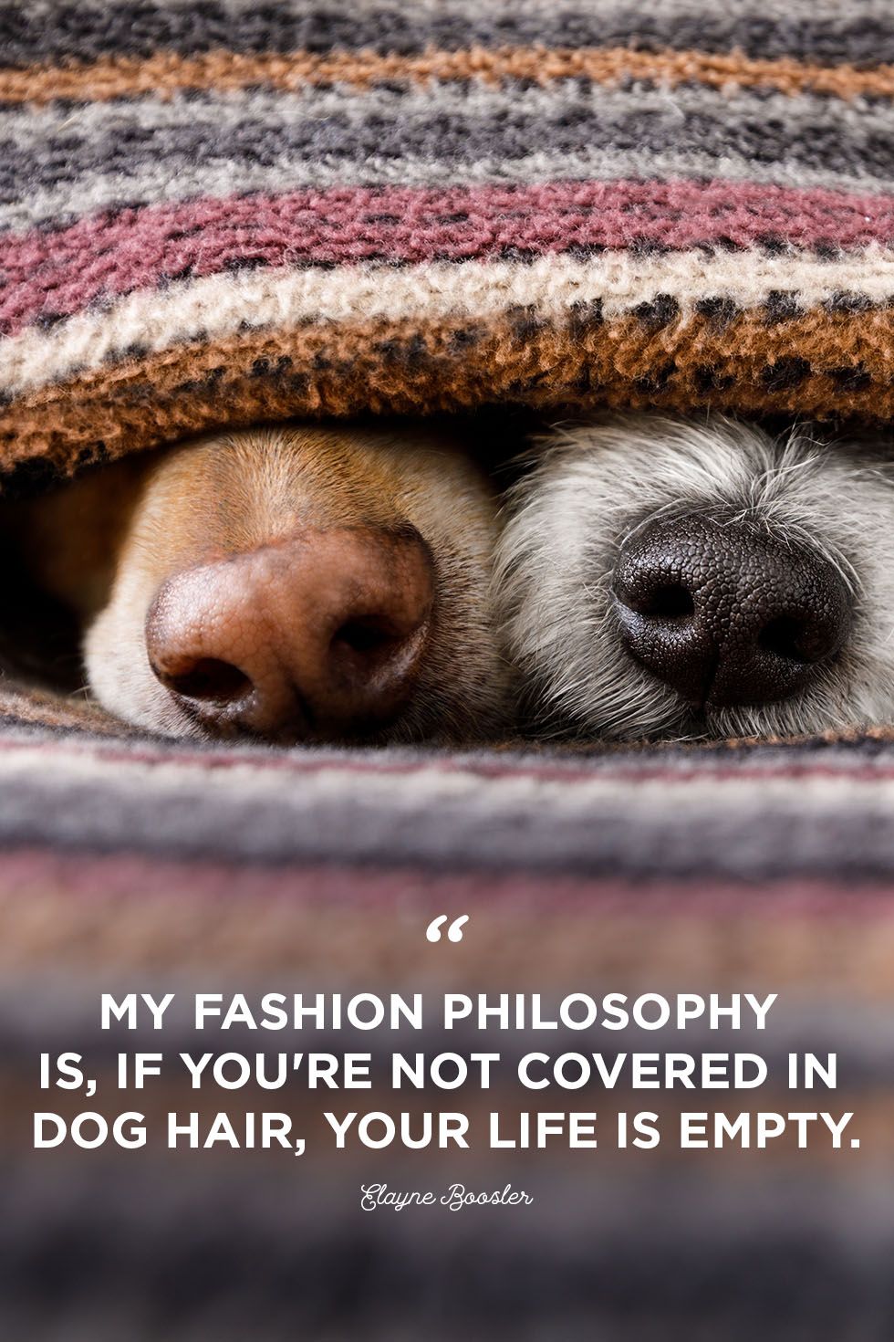 Dog Quotes Fashion philosophy