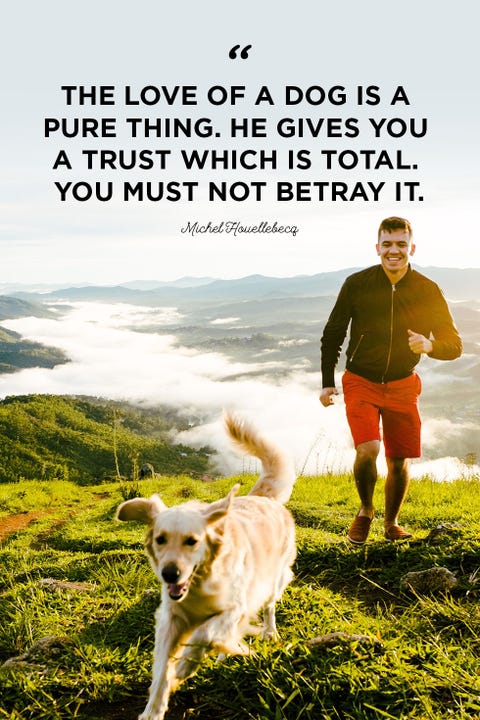 40 Best Dog Quotes - Cute, Sweet Quotes About Dogs 40 Best Dog Quotes - Cute, Sweet Quotes About Dogs