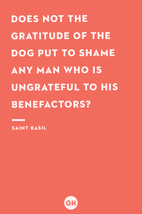 dog quote by saint basil