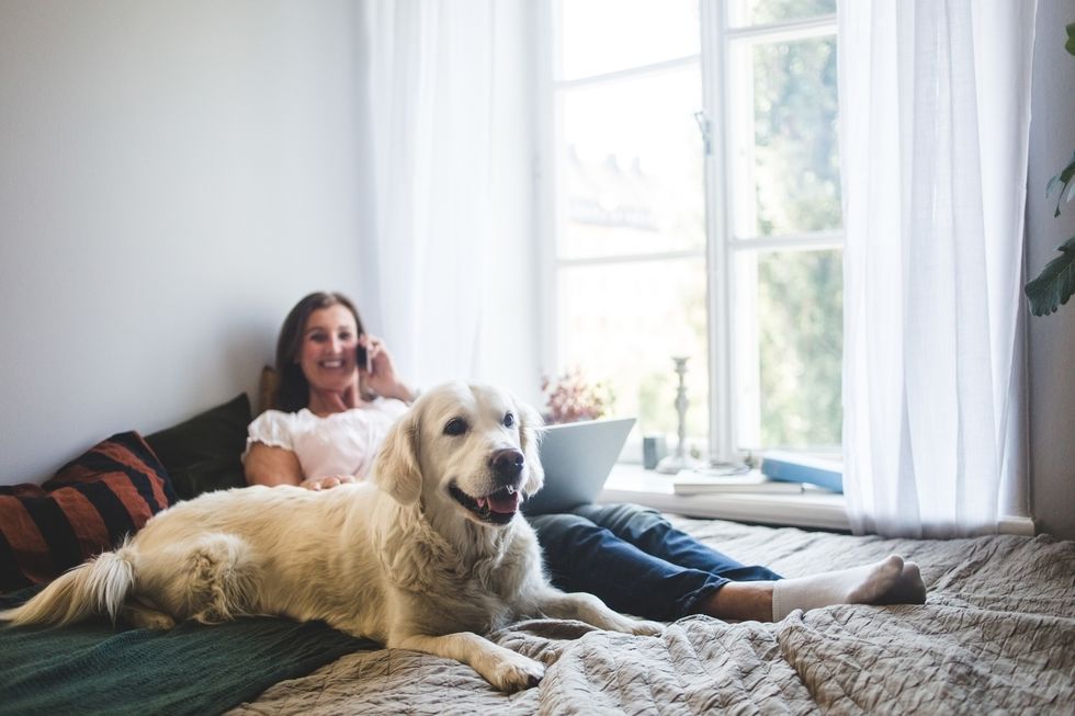 夏用寝具で横になる女性と犬