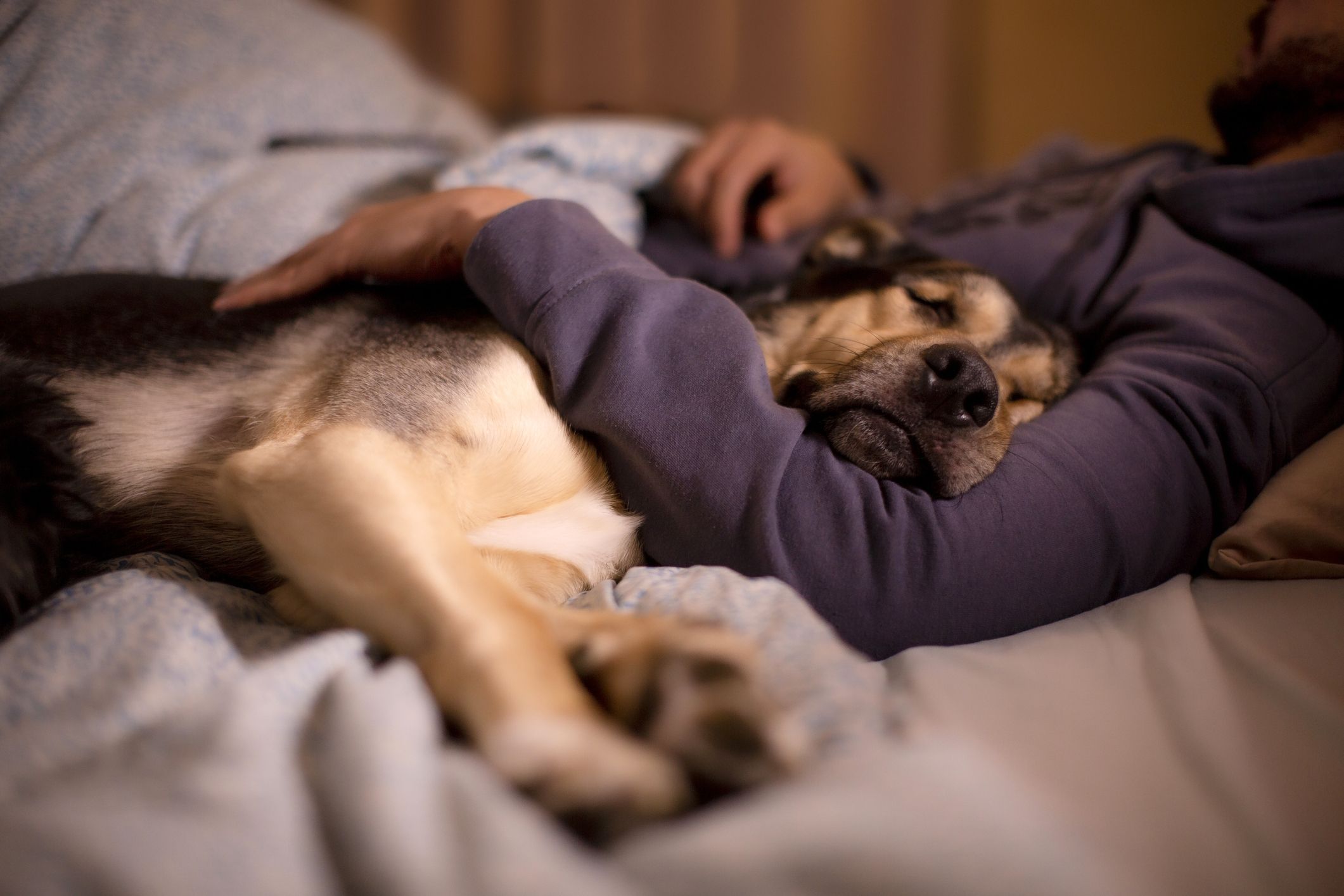 Women sleeping 2024 with dogs