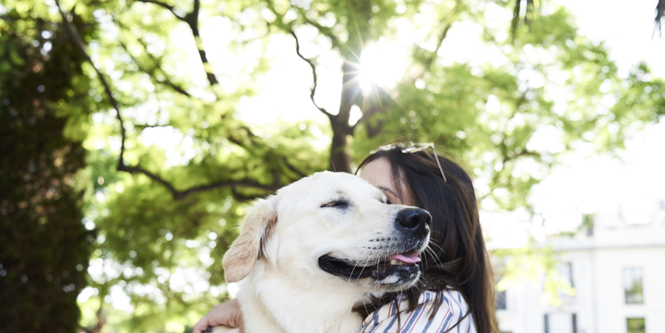 can dogs sense human emotions