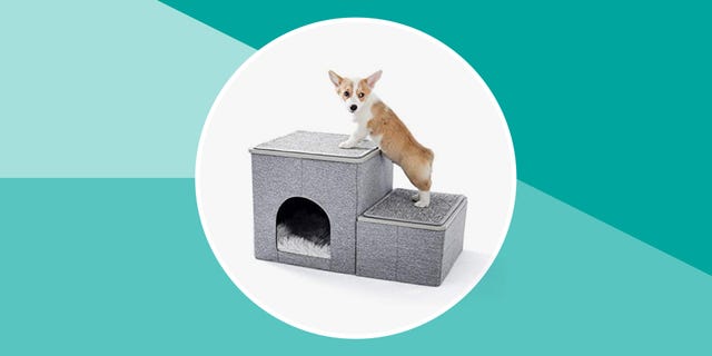 pet stairs